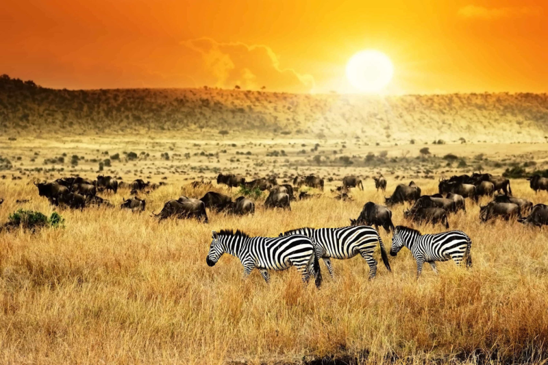 Tour d’Afrique
